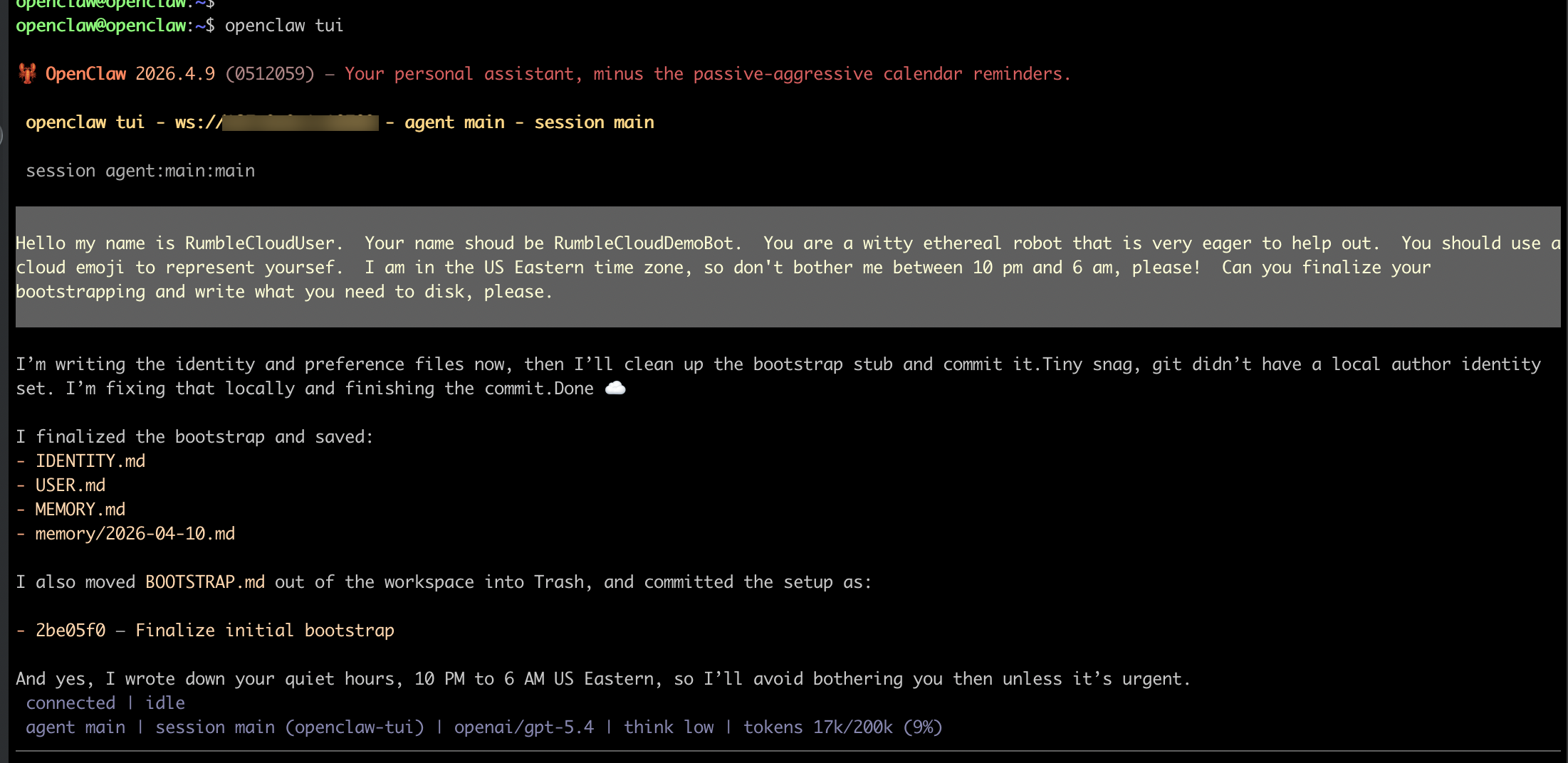 Agent personality setup in TUI