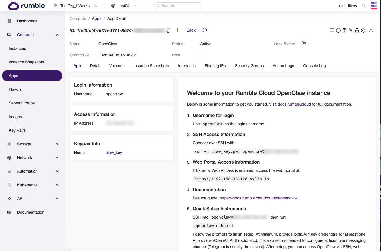 App Detail page showing Active status with IP address