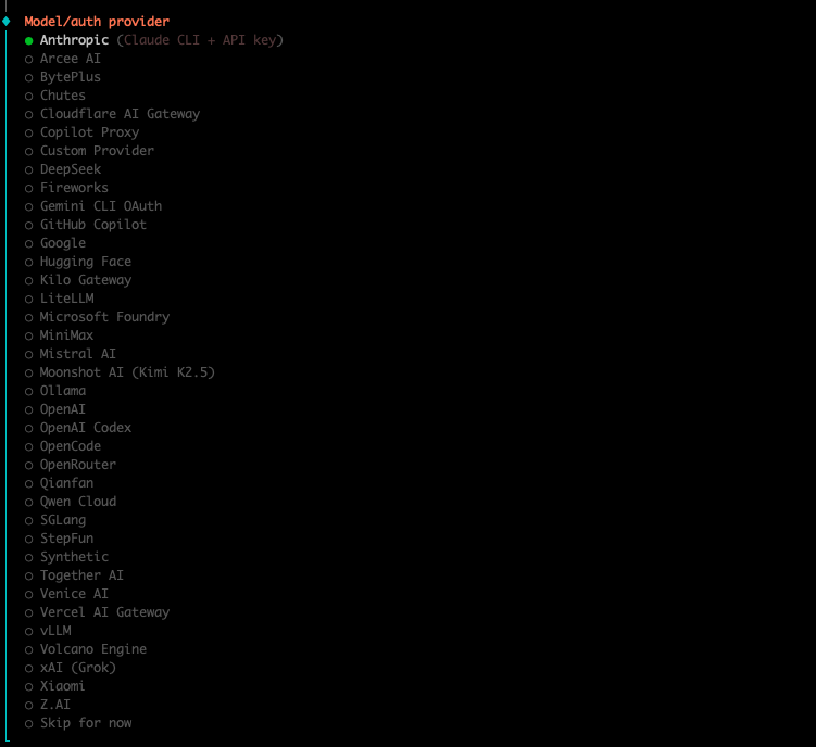 Model provider selection